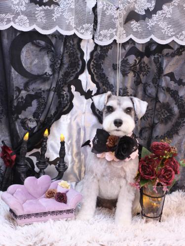 20231011むぎちゃん